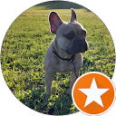 yves gutweniger profile picture